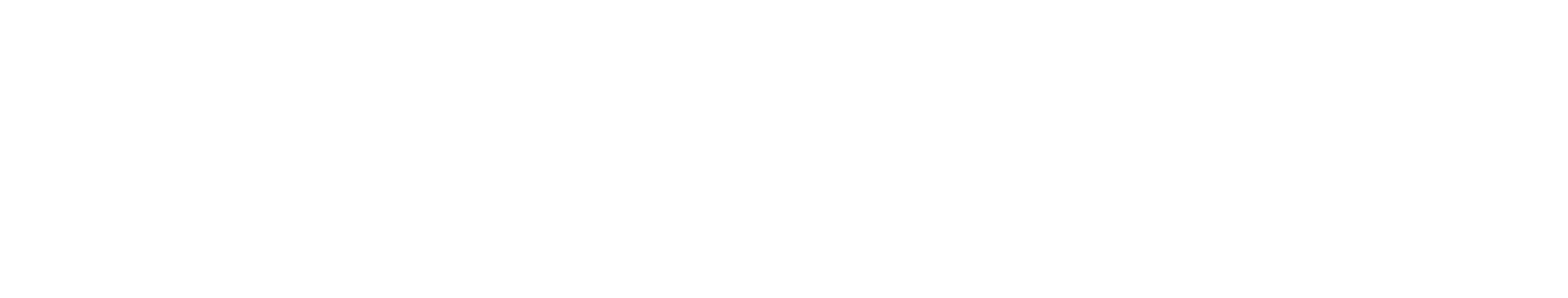 Fuchs & Falke Werbeagentur für Offenburg